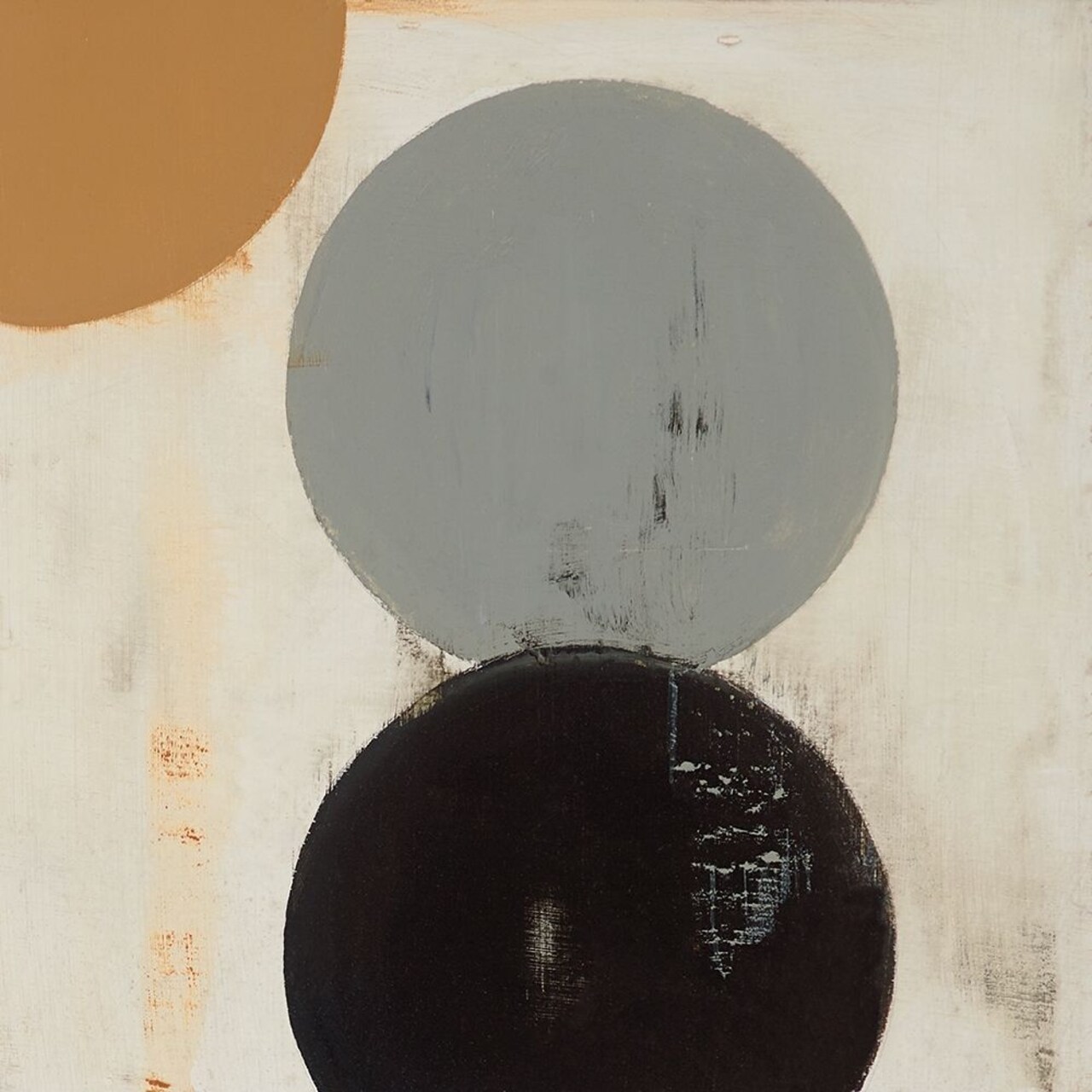 Terra Circles Ii Poster Print by David Skinner - Item # VARPDXPOD60437